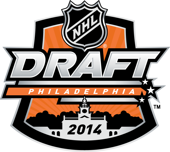 NHL Draft 2014 Primary Logo t shirts iron on transfers